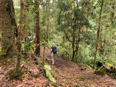 Savegre Cloud Forest