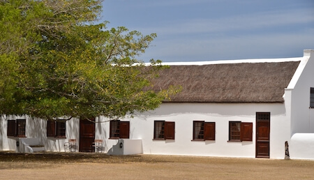 The Manor House and fig tree.     Photo: Supplied by De Hoop